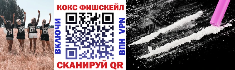 Cocaine FishScale  Купить где  Братск 