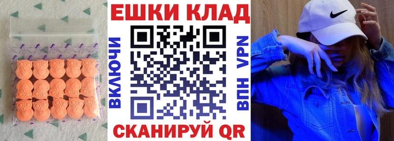 Ecstasy Philipp Plein Братск