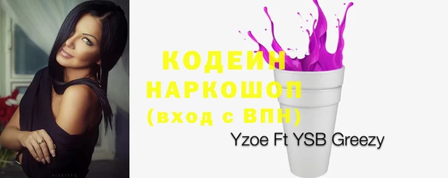 гидропоника Каменка