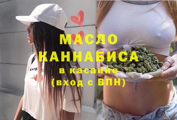гидропоника Каменка