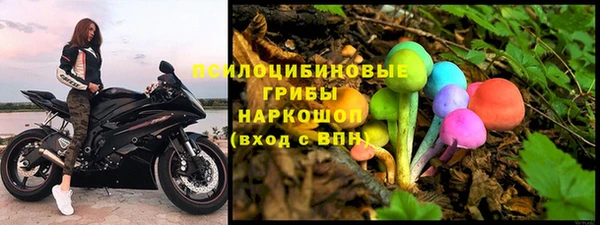 гидропоника Каменка