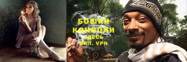 гидропоника Каменка