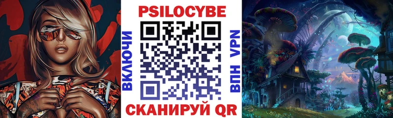 Псилоцибиновые грибы Cubensis  Купить закладки  Братск 